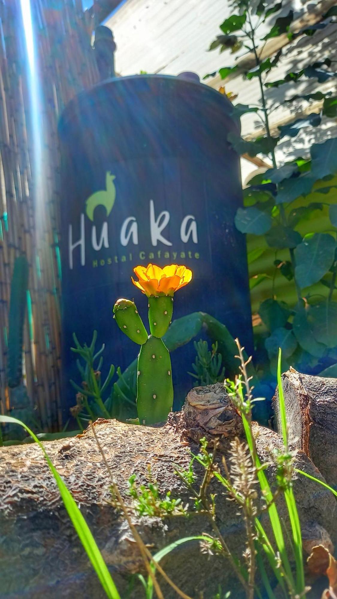 Huaka Hostel And Guest House Cafayate Extérieur photo